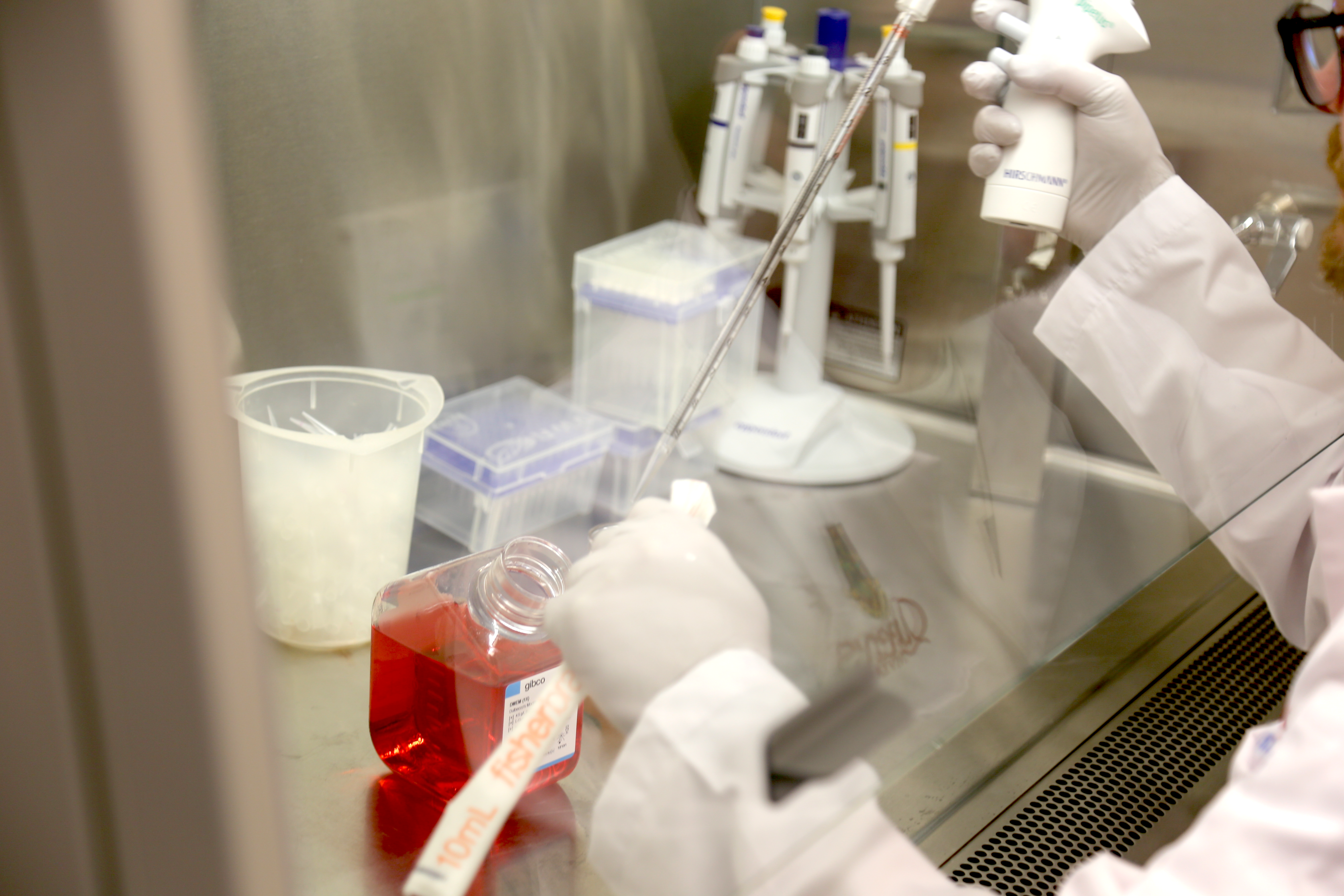 
                         Grant Opportunities                                                    - 
                          Research Opportunities                                                    